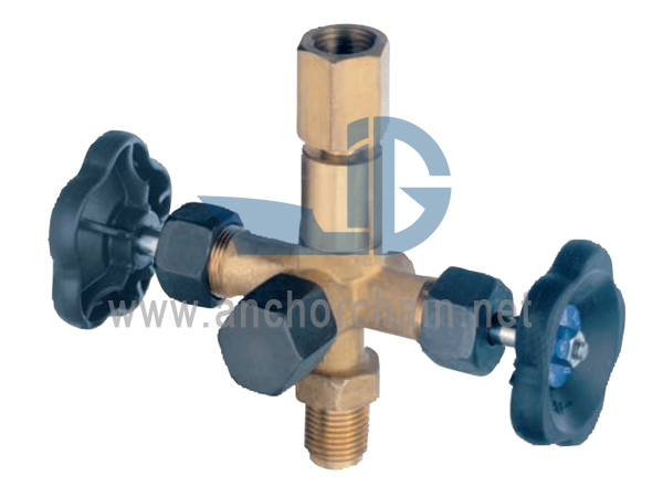 DIN 16272 Patayin ang Valve Para sa Mga Instrumentong Pagsukat ng Presyon Modelo 91011